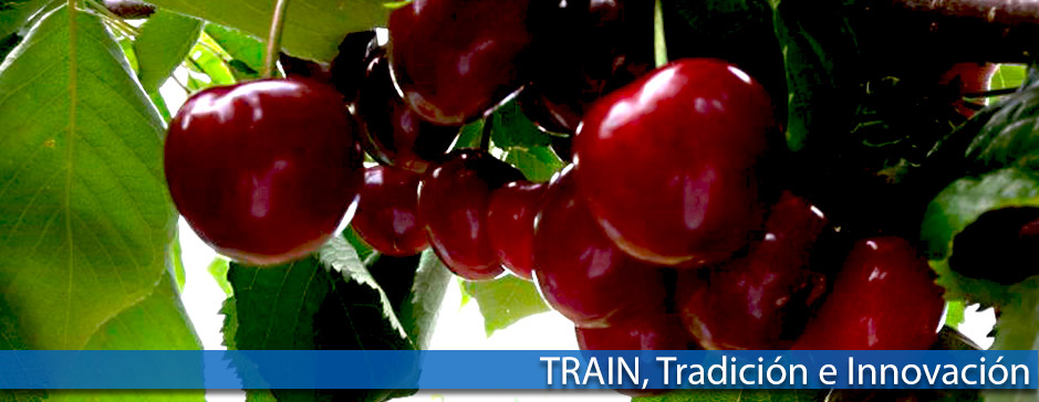 Frutas Train