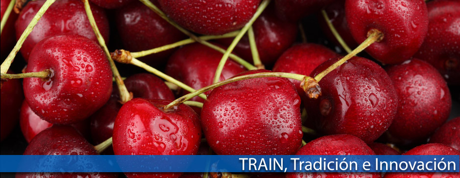 Frutas Train